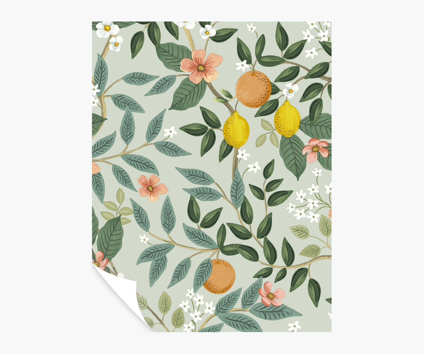Citrus Grove Peel & Stick Wallpaper Sample - Mint - Peel and Stick Wallpaper