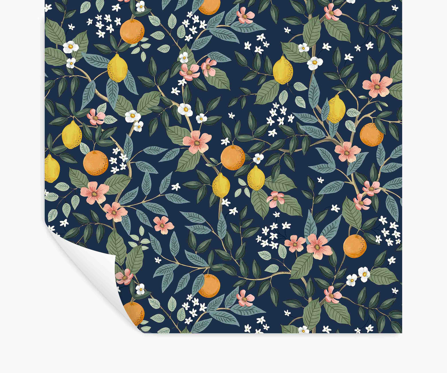 Citrus Grove Peel & Stick Wallpaper - Navy - Peel and Stick Wallpaper