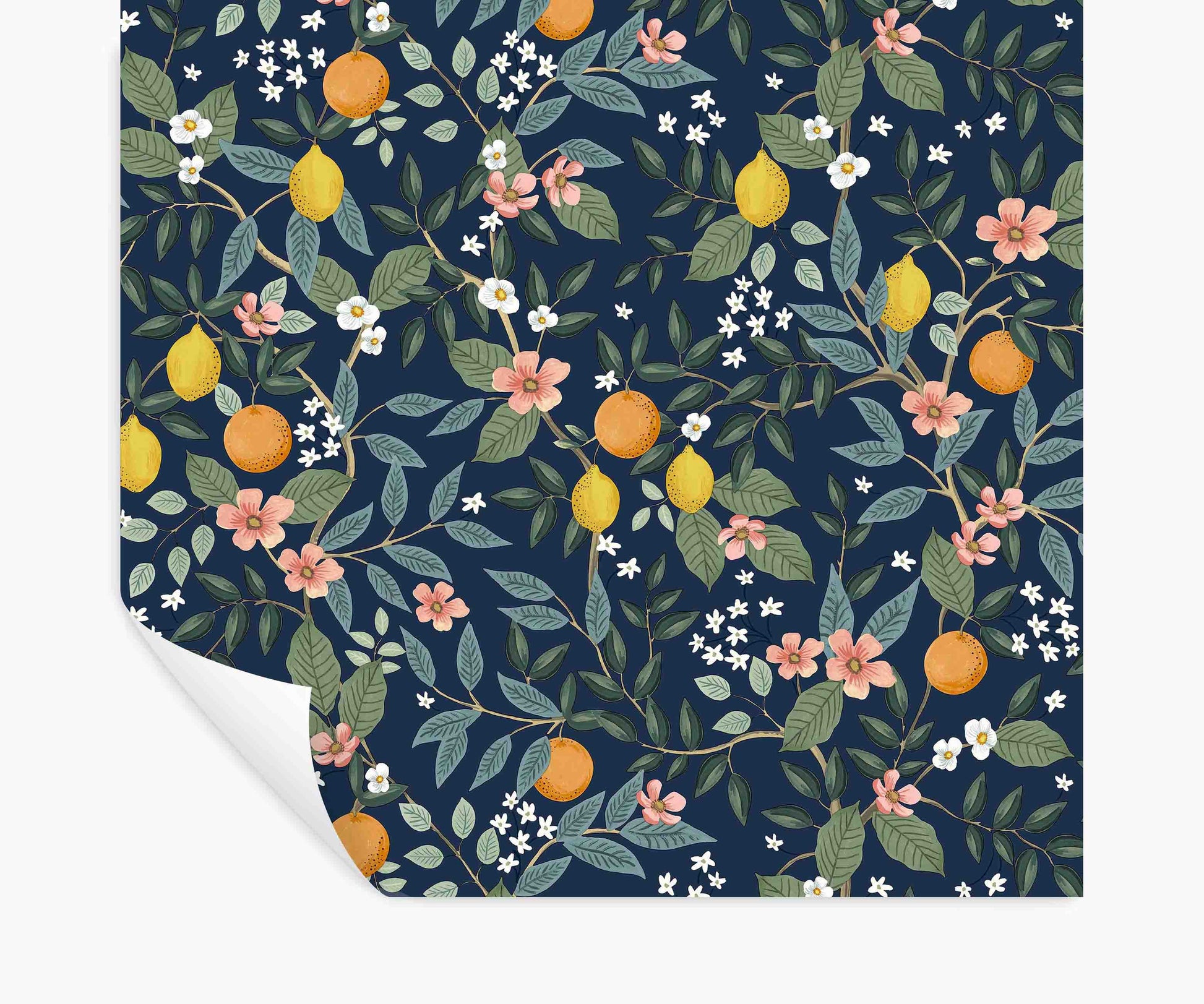 Citrus Grove Peel & Stick Wallpaper - Navy - Peel and Stick Wallpaper