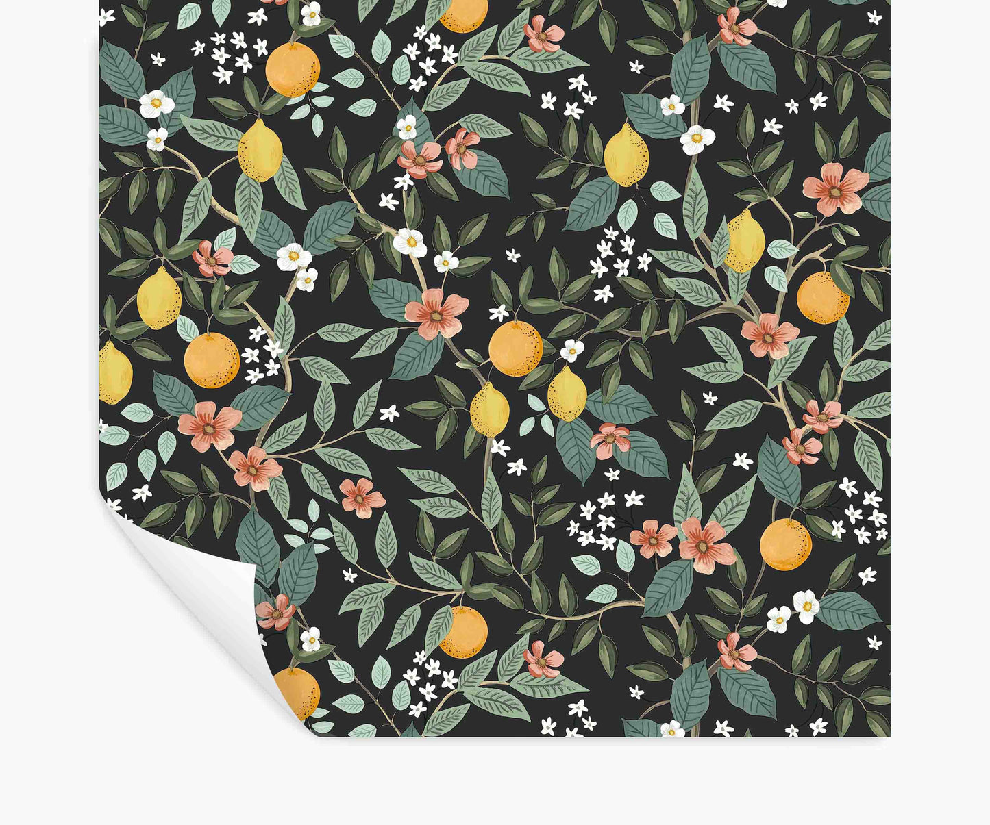 Citrus Grove Peel & Stick Wallpaper - Black - Peel and Stick Wallpaper