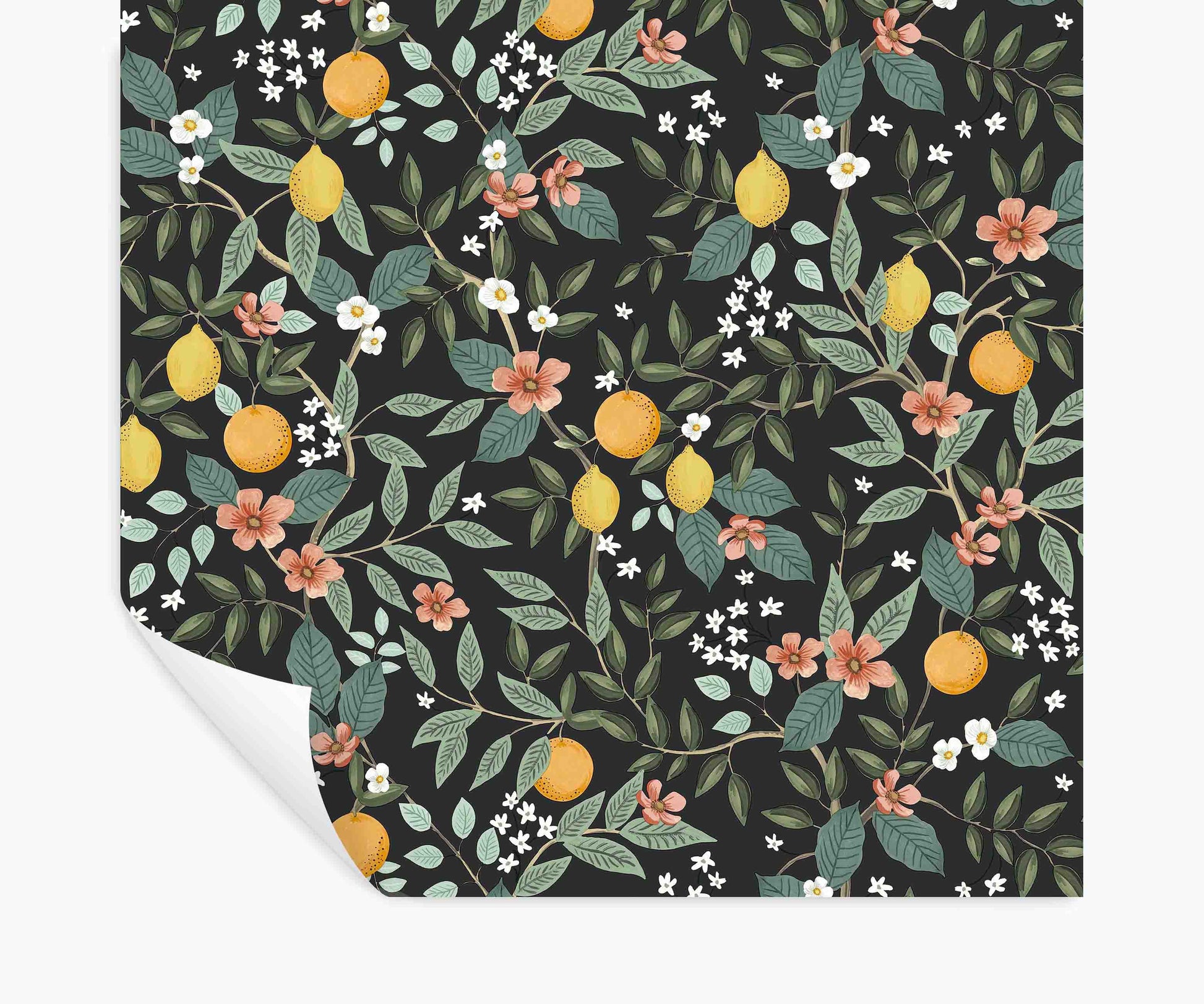 Citrus Grove Peel & Stick Wallpaper - Black - Peel and Stick Wallpaper
