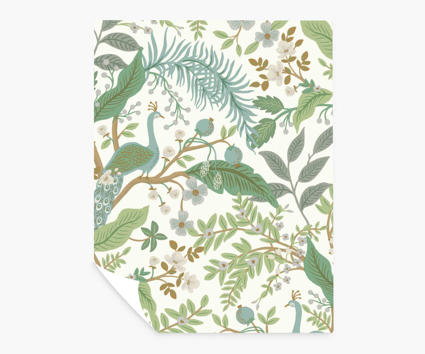 Peacock Garden Peel & Stick Wallpaper Sample - White - Peel and Stick Wallpaper