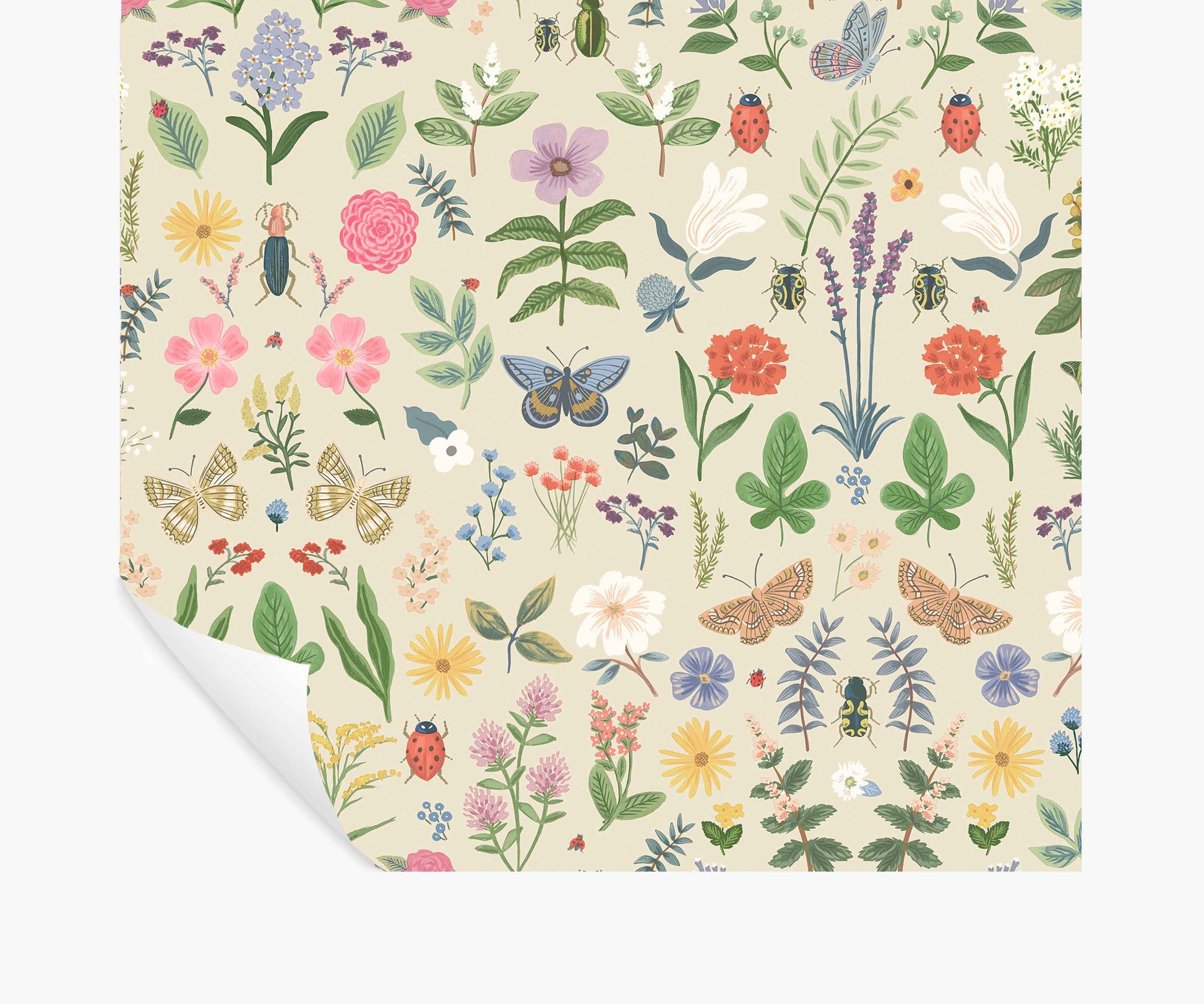 Curio Peel & Stick Wallpaper - Cream - Peel and Stick Wallpaper